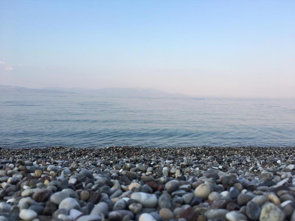 Meliti Guesthouse Akrata Luaran gambar